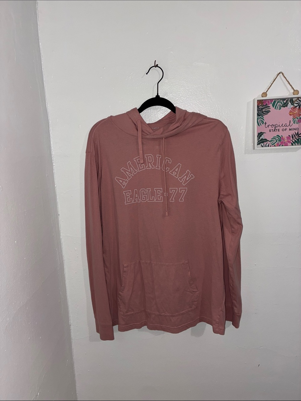 American Eagle Outfitters Dusty Rose Crewneck Hoodie - Men